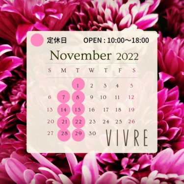 二宮町の美容院 VIVRE美容室 11月のお知らせ